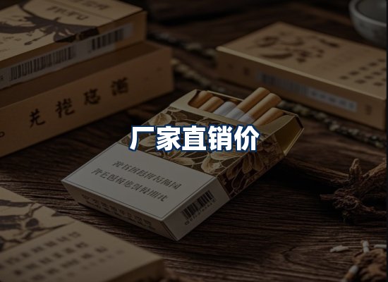 专业团队办公环境